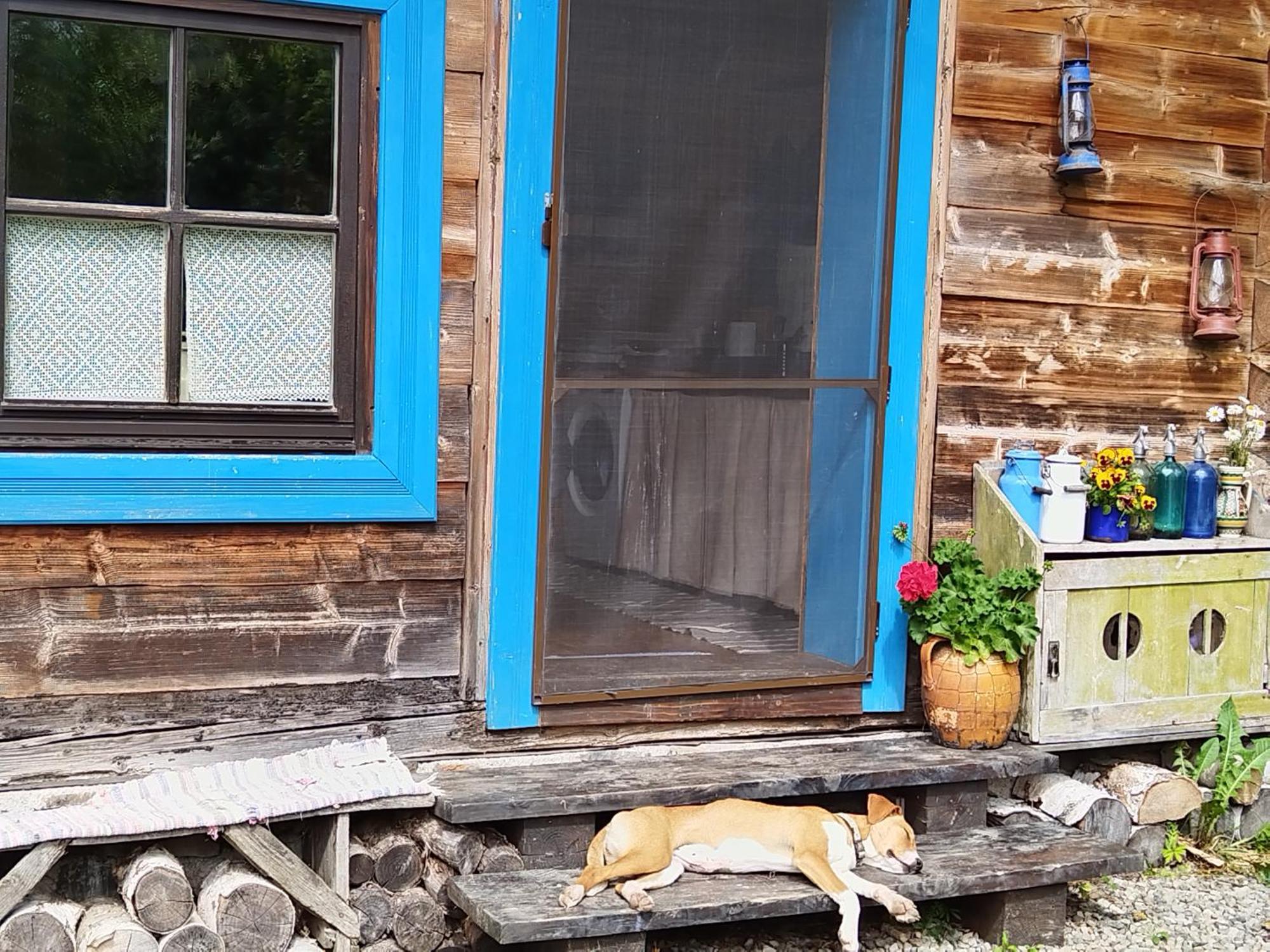 Big Family Apartment In Breb'S Cosy Barn Exterior foto